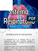 Clase 5-6 Sistema Respiratorio