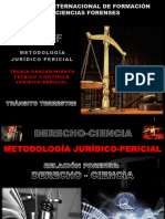 1 Metodologia Teorica Procedimental Sobre Pericial en Transito Terrestre