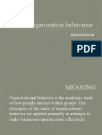 Organization Behaviour INTRODUCTION