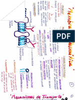 Digitalizar 25 de Sep. de 2020