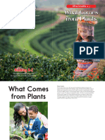 What Comes From Plants