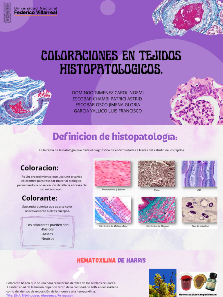 Grupo N°2 - Coloraciones en Tejidos Histopatológicos | PDF | Tinción ...