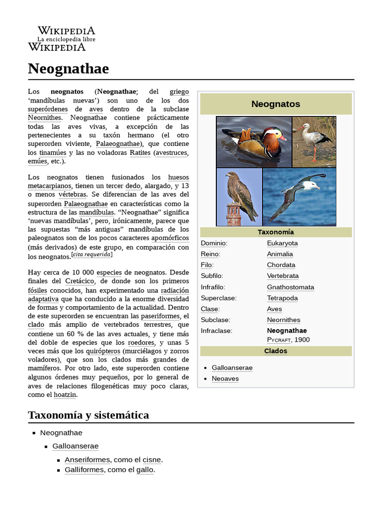 Neognatos: Taxonomía y Características | PDF | Neognathae | Aves
