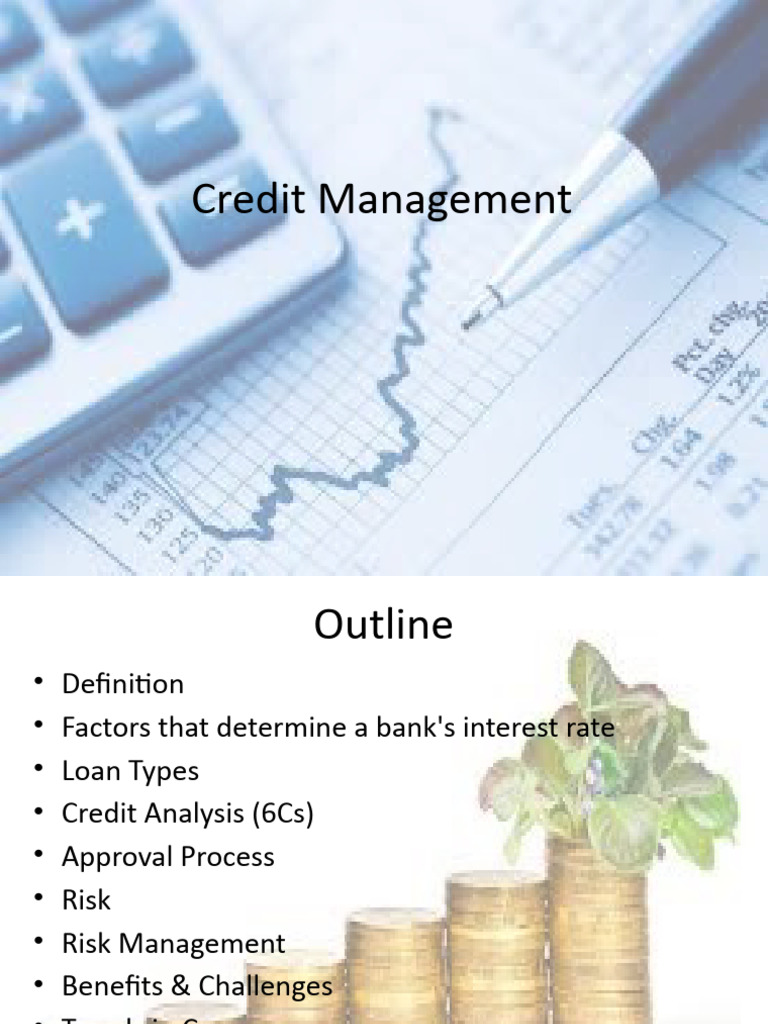 Topic 3 Credit Management Pdf Loans Finance Money Management