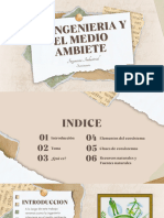 La Ingenieria y El Medio Ambiente