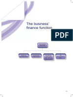 The Business Finance Function