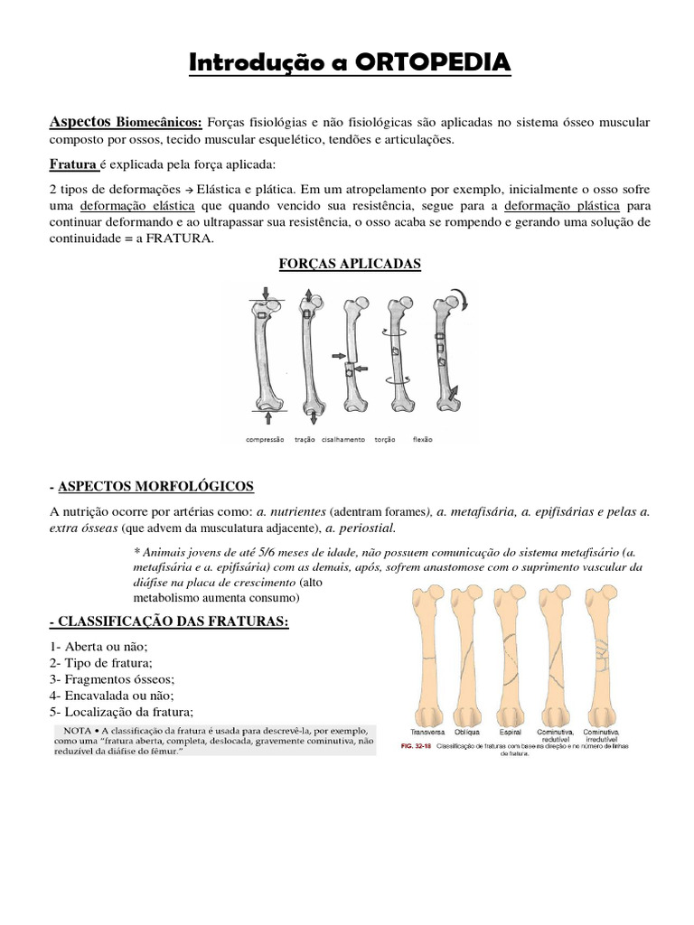 Introdução A ORTOPEDIA | PDF