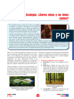 B - P - 6ºgrado - S2 - Ecología Seres Vivos