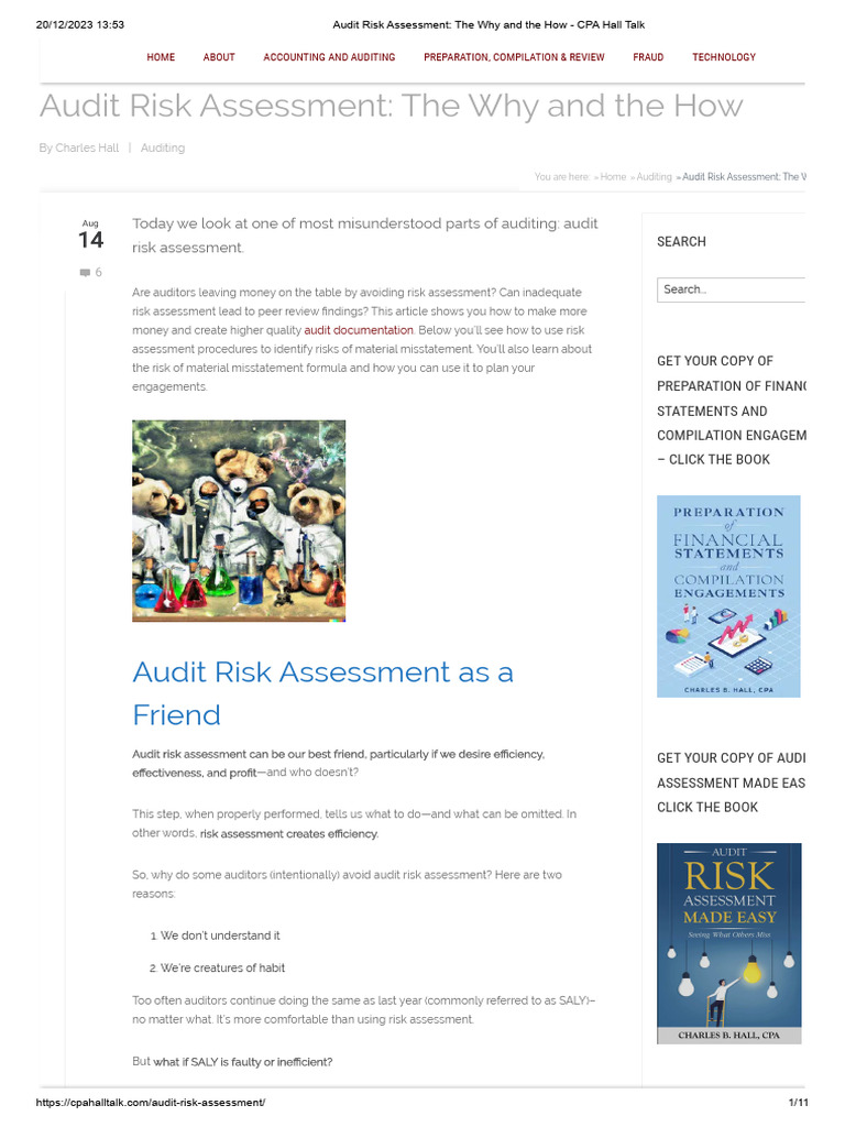 Audit Risk Assessment - The Why and The How - CPA Hall Talk | PDF