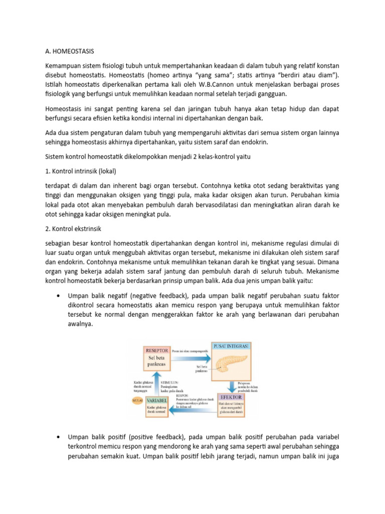 Materi Homeostasis Pdf