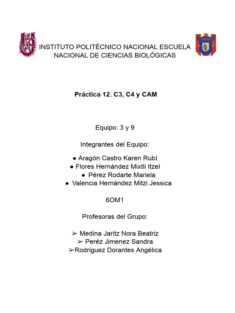 Práctica de C3 y C4 | PDF