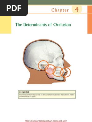 Determinants of Functional Occlusion | PDF