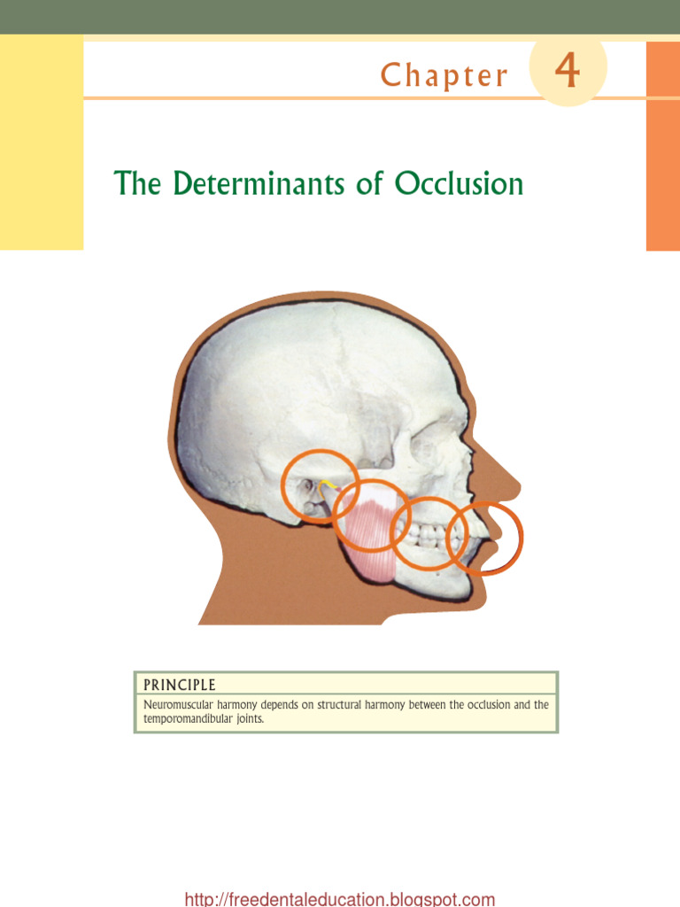 Determinants of Functional Occlusion | PDF