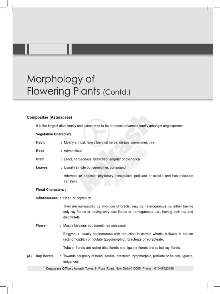 Morphology of Flowering Plants (Contd.) | PDF