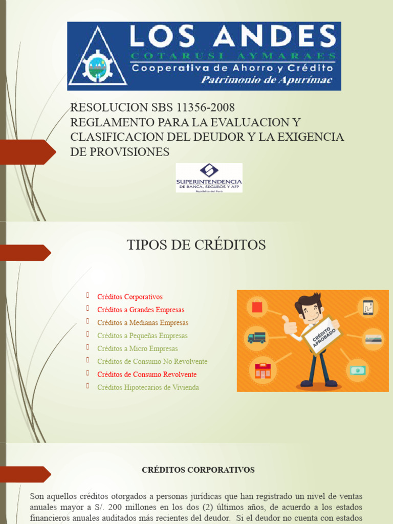 Resolucion Sbs 11356-2008 | PDF