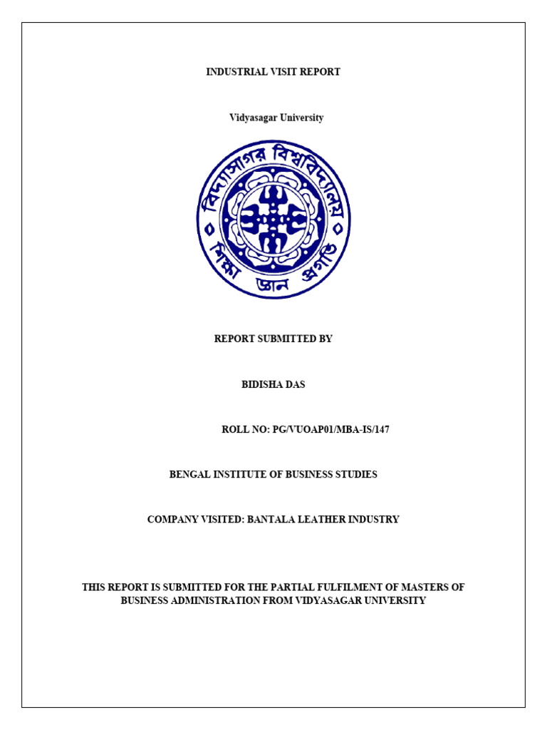 Industrial Visit Report 1 Pdf Marketing Target Audience