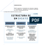 Actividad 15-Salud Fisica, Mental y Social