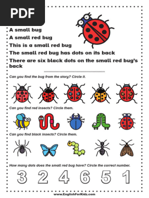 Reading Comprehension Bug Story