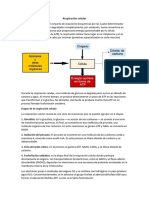 Respiración y Nutrición Celular