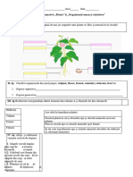 EV - Sum Plantele Si Org Uman