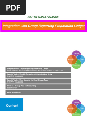 SAP Group Reporting Preparation Ledger