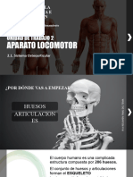 UT2.1. Sistema Osteoarticular