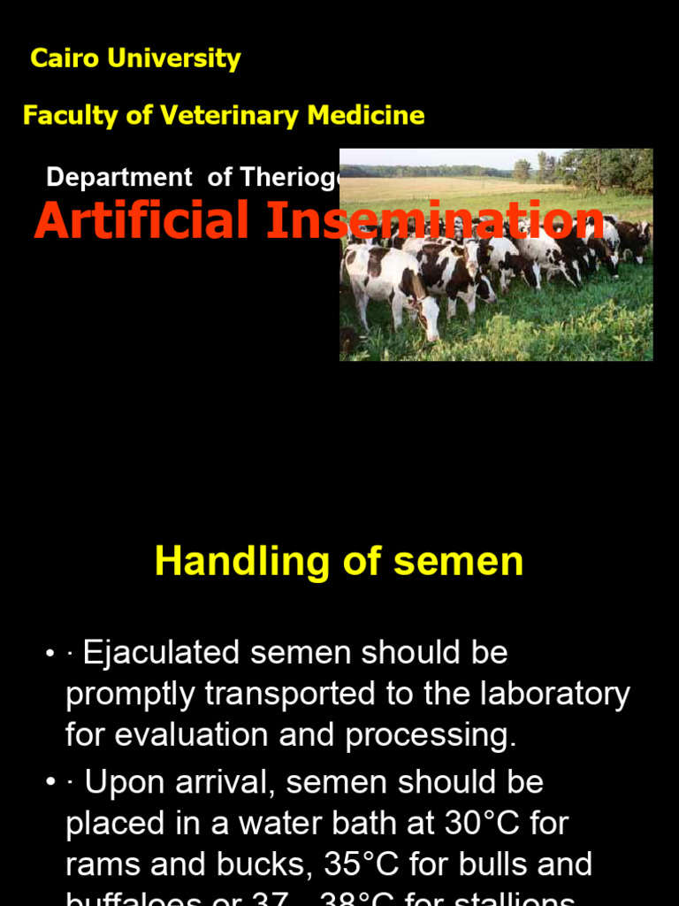 Artificial Insemination PDF