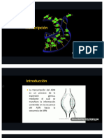 Transcripción ARN