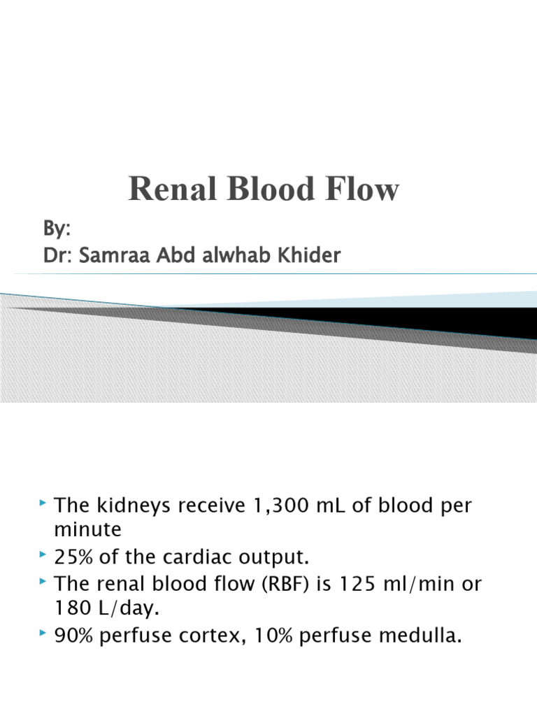 Renal Blood Flow sheet PDF Kidney Physiology