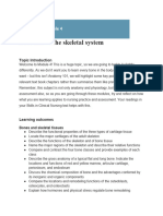 Module 4 The Skeletal System