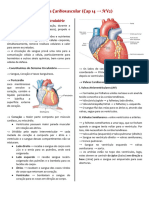 10 - Cardiovascular 1 (Fisiologia)