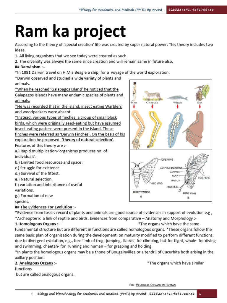 Human Health and Disease Overview | PDF | Immune System | Lymphatic System
