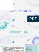 Toxoplasmose 20231011 131009 0000