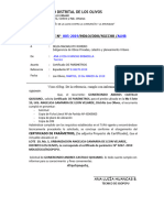 INFORME 005-2019 - N° Exp. E-06270-2019  CERTIFICADO DE PARAMETROS