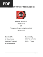 PDF Document