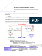 T8 - Teoria