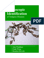 Alan Windham - Microscopic Identification of Turfgrass Diseases STMA