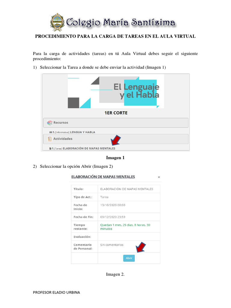 Carga de Tareas en Aula Virtual | PDF