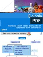 Clase 7 Membrana Celular Modelo de Organización - Transporte A Través de Membrana 2015