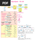 しおん PDF) Cytokine Storm and Mucus Hypersecretion in COVID-19
