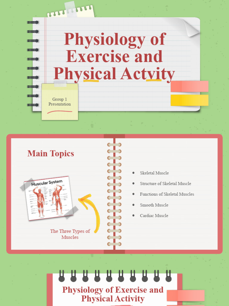MUSCLES | PDF