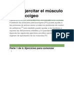 Cómo Ejercitar El Músculo Pubococcígeo