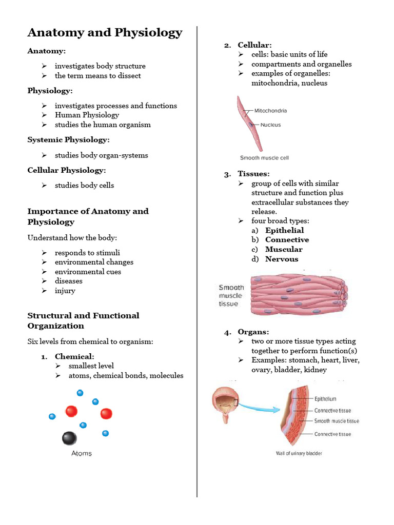 Concept visual data 2