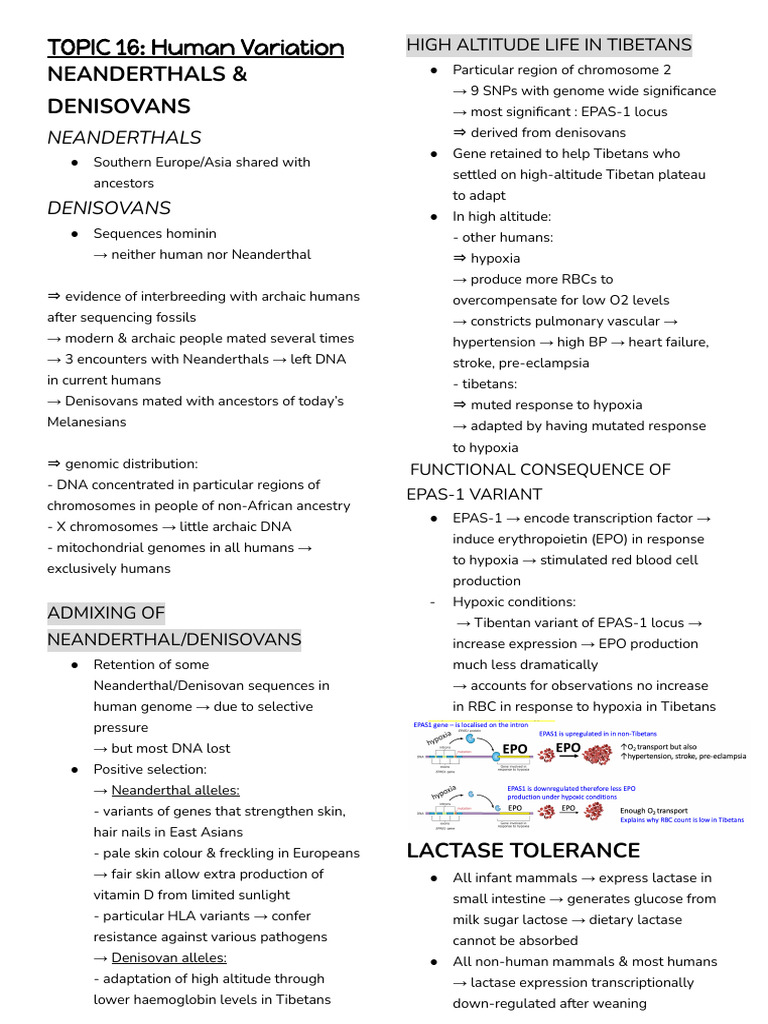 Gen2mhg notes part 2 3 pdf