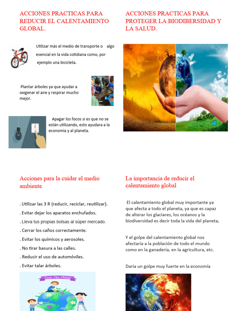 Acciones para Combatir el Calentamiento Global | PDF