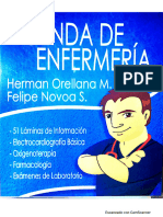 Agenda de Enfermeria Hernan Orellana
