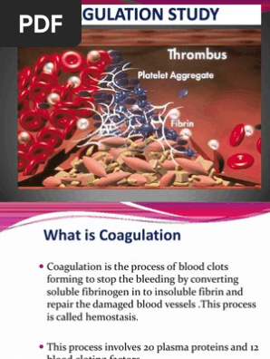 George King Bio Med On Twitter What Is Coagulation The Process By Which Blood Forms Clots Bleedingdisorders Hemostasis Https T Co 9jk03ktlfx Https T Co Omqhqkxu5u Twitter