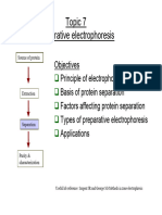Lect 7 Electrophoresis