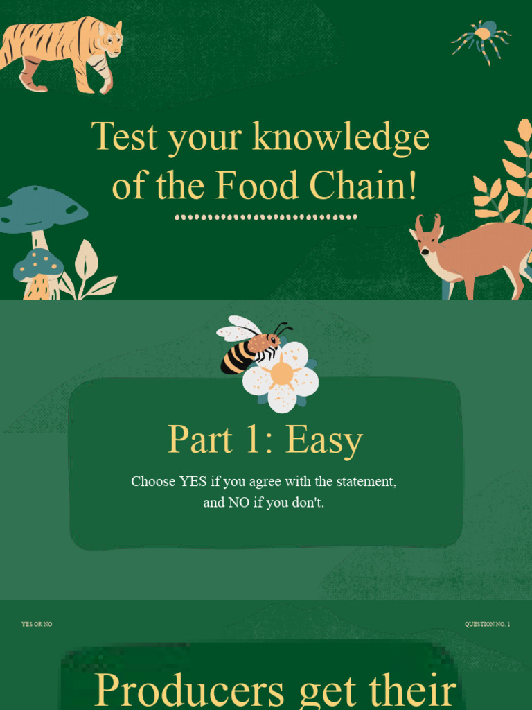 Food Chain Quiz Presentation Biology Diagrams