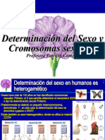CLASE 9 Determinación Del Sexo y Cromosomas Sexuales